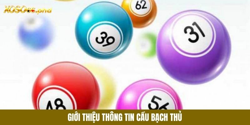 Giới thiệu thông tin cầu bạch thủ